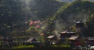 河南旅游文化：青龍山慈云寺第四屆桃花祈福文化節(jié)即將盛大開(kāi)幕！