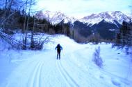 河南旅游市場運營：發(fā)展冰雪旅游 讓冰天雪地變成金山銀山